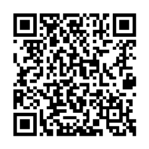 从树林里跑出来的倭寇都下意识的避着这个方向二维码生成