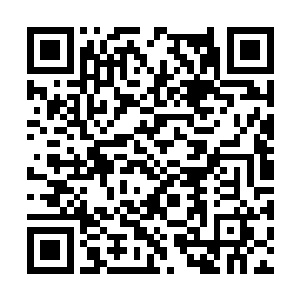 从梦幻海洋馆筹建期间他就已经和雷欢喜明争暗斗二维码生成