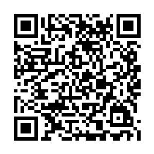 从椭圆形的身体里伸展出四支又长又尖的行进足二维码生成