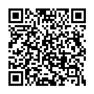 从此再也没有了可以与绯红之虎匹敌的海上力量二维码生成