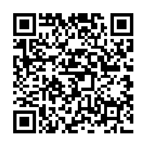 从此时虚影身上的气息龙傲天也隐隐猜测出了对方的身份二维码生成