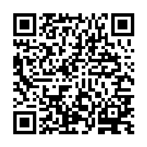 从此英俊的王子和美丽的小公主过上了幸福快乐的生活二维码生成