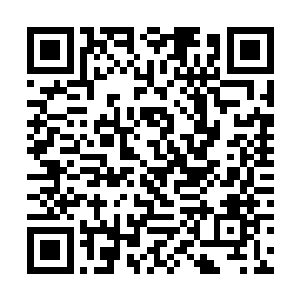 从此银狼一族彻底消失在红尘天外天的历史长河之中二维码生成