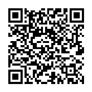从没有一个人知道东南半岛准确的土地面积和人口数量二维码生成