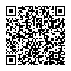 从没有什么后辈剑客找到一本前人秘笈就可以练出天下无敌的剑法二维码生成