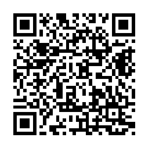 从没有几个金丹修士想过自己能抗住元婴修士的二维码生成