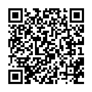 从洛天星小时候开始做一份专属与她的人生历程介绍二维码生成