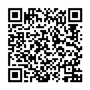 从洞口朝内吹不到风雨的地方有一个像是碟子的巨大鸟窝二维码生成