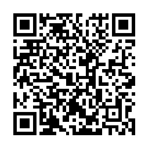 从灵兽王进阶半步至尊灵兽……看起来只是简单的一步二维码生成