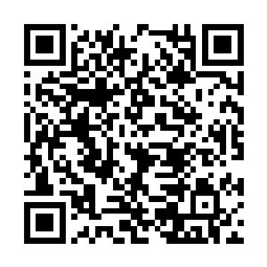 从烧水的丫头再到端盆的婆子全都是他信得过的人二维码生成