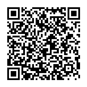 从焚天宗离开的那些高手一个个的也全都建立了自己的家族或者势力二维码生成