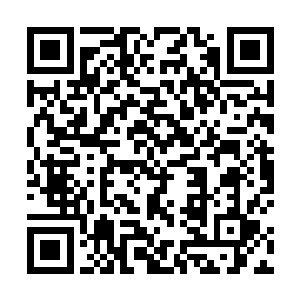 从猫眼里看出去是苏墨尘端着一盘切好的水果站在门口二维码生成