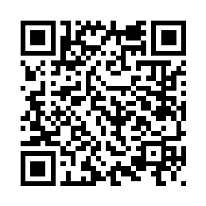 从现在开始我是他公司的副总裁了二维码生成