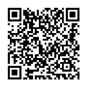 从电梯出来往左走到底是雷欢喜的方寸公司云东办事处二维码生成