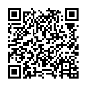 从登上飞机就一直坐在那双手搭在扶手上危襟正坐二维码生成