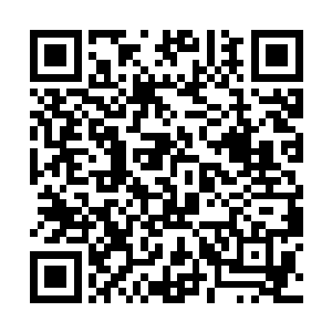 从盒子中弹出了一个画风猎奇的半身连着弹簧的布偶二维码生成