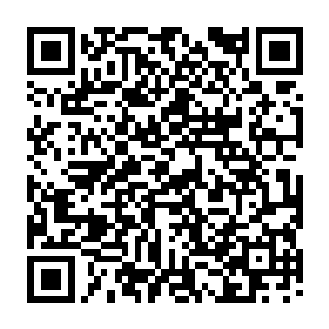 从目标人被带入别墅一楼大厅就讶然了表情的死鱼眼男人走到目标人身边蹲下二维码生成