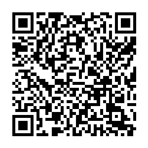 从石头和水草中突然冒出一个脑袋来的张铁把那些小鱼吓得四处逃窜二维码生成