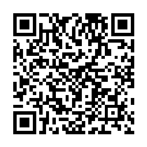 从神水空间当中捞出来一根百年野山参洗干净放到了锅里二维码生成