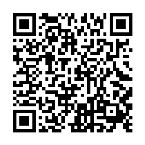 从秘境中出来的那些修士呆滞地看着眼前发生的一切二维码生成