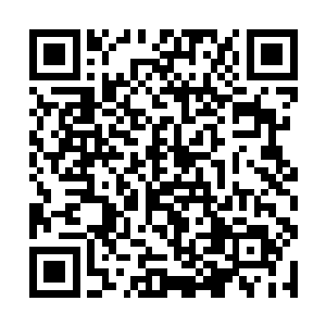 从第一次看到他这么多年除了面容好像没有什么变化二维码生成