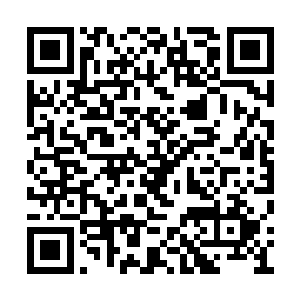 从第一间开着门的公司玻璃门就热情的堆起笑脸二维码生成