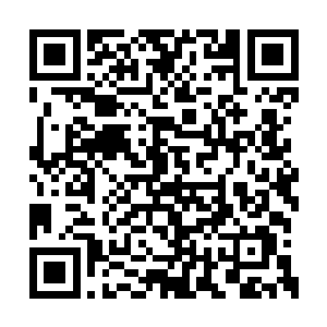 从羚飞仙和小儒帝的所作所为可以看出一些问题二维码生成