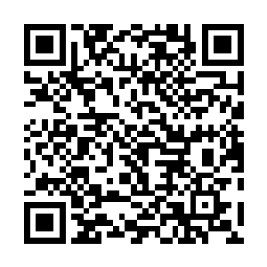 从而将老头儿身上的气力给震散的同时还不伤及对方性命二维码生成