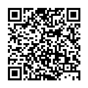 从而引起政局动荡的将来……但所有这些可怕的想象二维码生成