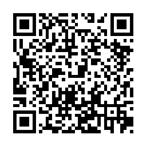 从而把化仙者领地和原仙者领地最终交融在一起二维码生成