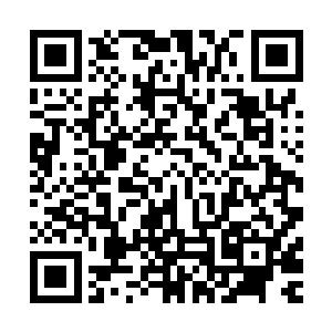 从而爆发出来的浓郁血雾中竟然忽然传出了一阵诡异的嗡鸣声二维码生成