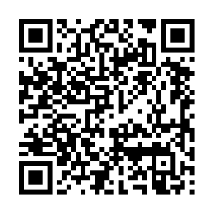 从聚仙盆中取出了许多的一次性的阵法和攻击宝物二维码生成