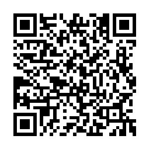 从肆意到普通的探讨更是贯彻了雨果的整个青春二维码生成