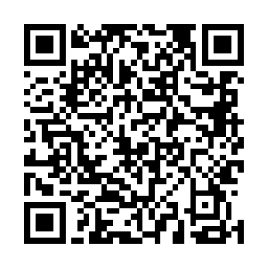 从腰间的兽皮兜里掏出两块半个巴掌大的黑色椭圆形的东西二维码生成