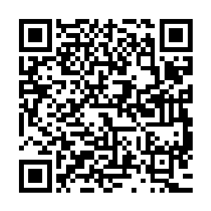 从自己火堆或者旁边火堆抢下一块烤肉一边吃着一边跟着过来二维码生成
