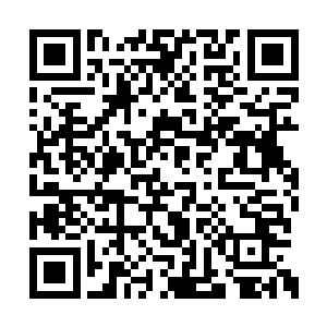 从自己随身带着的皮包里掏出厚厚一摞子的文件二维码生成