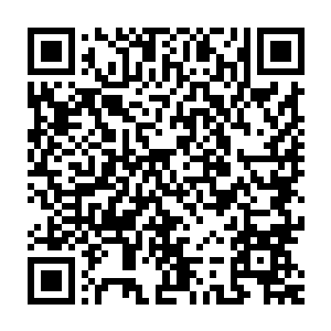 从苗毅带人冲出去搞乱了对方到现在又是一种局势不过数个呼吸的时间二维码生成