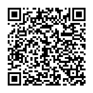 从虚幻中生出的手掌竟是丝毫不退让的迎上了本体全力挥出的这一锤二维码生成