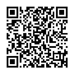 从血灵身上飚射出来的鲜血甫一碰触地面都是会尽数没入地面二维码生成