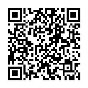 从衣服兜里扯出了一个头套然后套到了自己的头上二维码生成