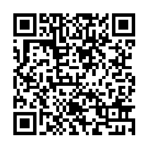 从襁褓中嗷嗷待哺的婴孩长成了花骨朵似的小丫头二维码生成