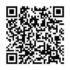 从记忆里搜了半天也没有找到跟这个果实吻合的二维码生成