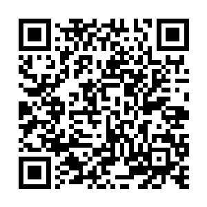 从许人杰说起唐漠时的那种害怕表情可以看得出来二维码生成