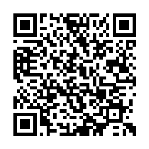 从诸多村民的目光中看到了熊熊燃烧的复仇之火二维码生成