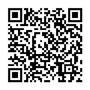 从轻风剑上传递而出的强大力量都震得两人手臂剧烈一颤二维码生成