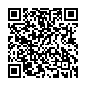 从这一轮地委行署一系列会议的动作指向也能看出一些端倪来二维码生成