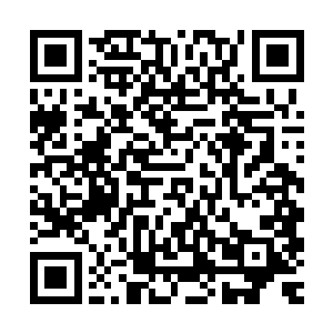 从这个三月十九日的画押基本可以判定这幅画是八大山人朱耷的二维码生成