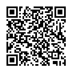 从这个细节就可以看出如今雨果在全球范围内的强大影响力二维码生成
