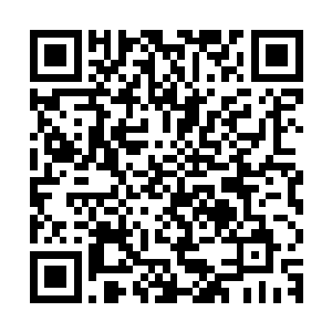 从这个阵容就可以看出日本队对于这个亚洲杯冠军是志在必得的二维码生成
