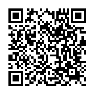 从这些花草就能看出董欣小姐对越老用心了……二维码生成